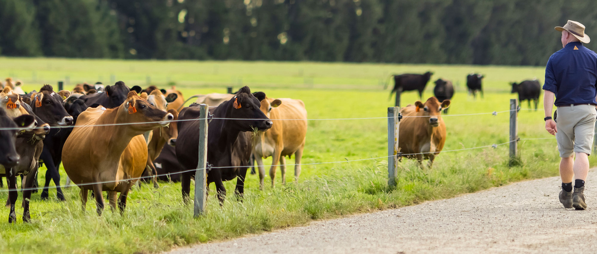 Fonterra
